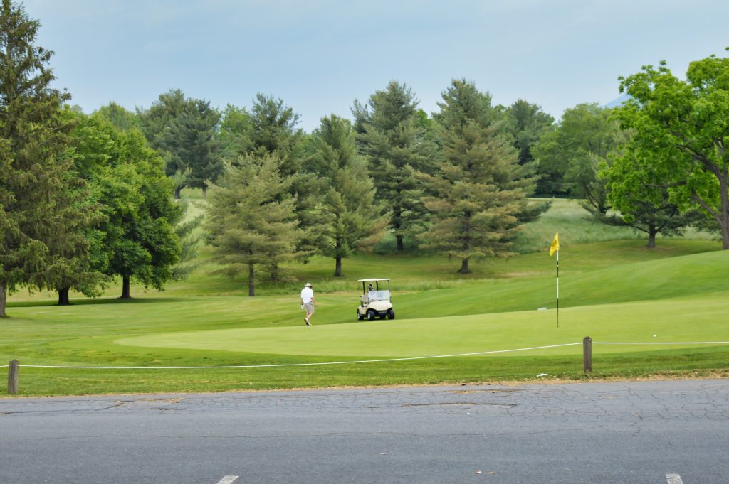 golfer and cart on course